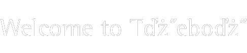 Welcome to T�ebo�